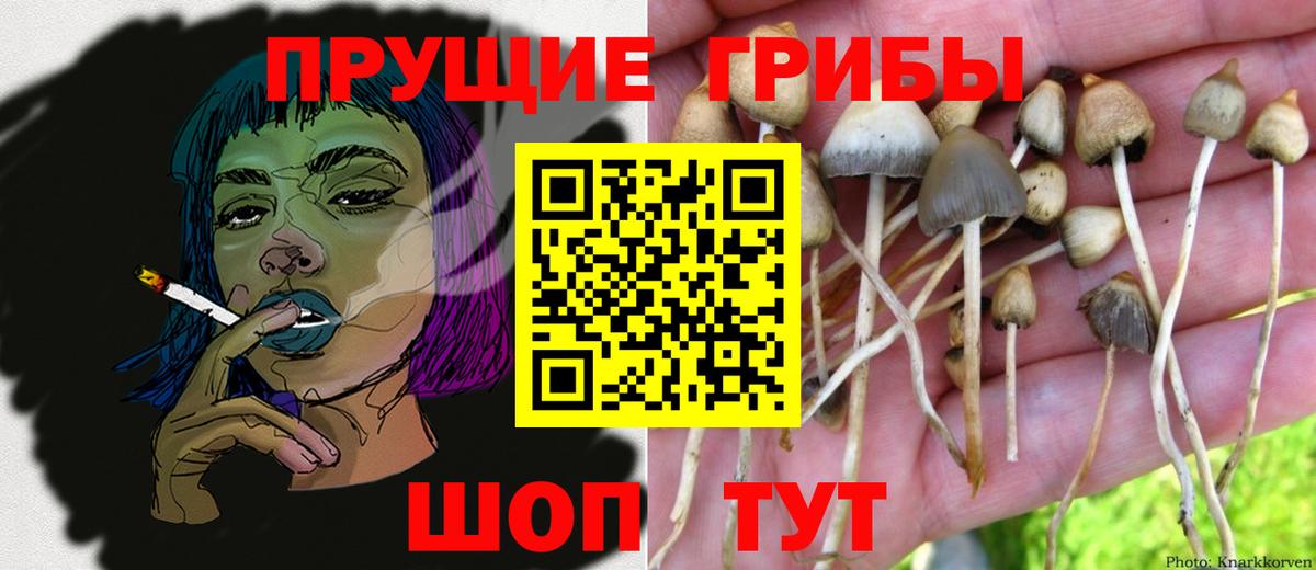 Галлюциногенные грибы Magic Shrooms  Вход с VPN  Киржач 